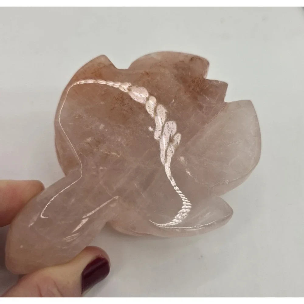 Natural Red Fire Quartz Hematoid Carved Turtle 4